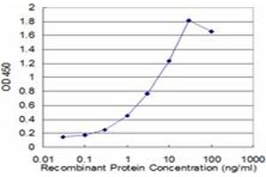 Detection limit for recombinant GST tagged LAMP2 is approximately 0. (LAMP2 抗体  (AA 30-127))