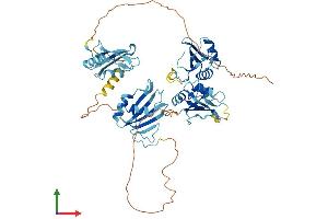 Protein Structure (PS) image for Polypyrimidine Tract Binding Protein 2 (PTBP2) (AA 1-531) protein (His tag) (ABIN7551056)