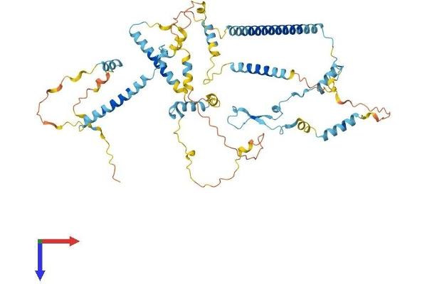 Protein Red (IK) (AA 1-557) protein (His tag)