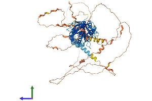 Protein Structure (PS) image for Mediator Complex Subunit 25 (MED25) (AA 1-747) protein (His tag) (ABIN7554558)