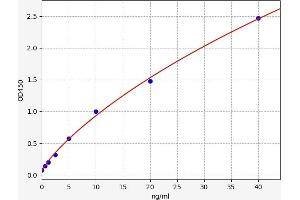 Typical standard curve (ACLY ELISA 试剂盒)