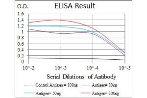 Red: Control Antigen (100ng) ; Purple: Antigen (10ng) ; Green: Antigen (50ng) ; Blue: Antigen (100ng).