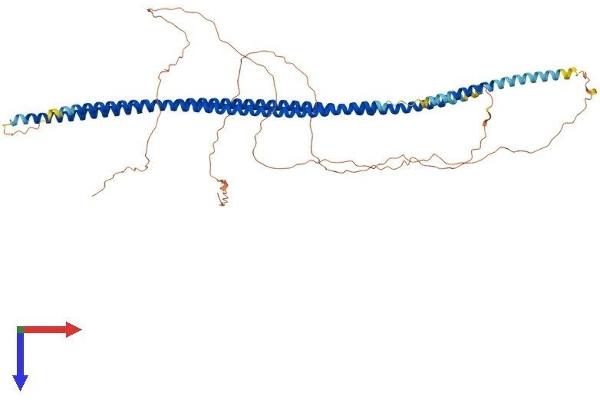 Cytokeratin 5 Protein (AA 1-590) (His tag)