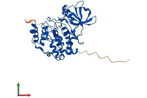 Protein Structure (PS) image for Casein Kinase 2, alpha Prime Polypeptide (CSNK2A2) (AA 1-350) protein (His tag) (ABIN7562427)