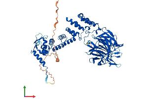 Protein Structure (PS) image for Kelch-Like 13 (KLHL13) (AA 1-655) protein (His tag) (ABIN7554365)