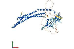 Protein Structure (PS) image for Adaptor Protein, phosphotyrosine Interaction, PH Domain and Leucine Zipper Containing 2 (APPL2) (AA 1-664) protein (His tag) (ABIN7547121)
