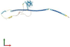 AlphaFold protein structure predicition of Human Recombinant IFT57 Protein, UniprotID Q9NWB7