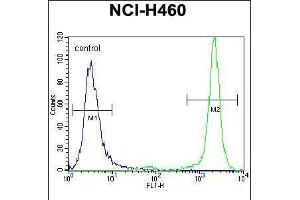 Flow cytometric analysis of NCI-H460 cells (right histogram) compared to a negative control cell (left histogram). (Histone 3 抗体  (AA 50-78))