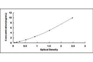 Typical standard curve (Kallikrein 6 ELISA 试剂盒)