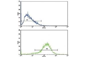 Flow cytometric analysis of HepG2 cells using IFNB1 antibody (blue) compared to a negative control (green). (IFNB1 抗体  (AA 39-66))