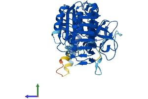 Protein Structure (PS) image for GDP-Mannose Pyrophosphorylase A (GMPPA) (AA 1-420) protein (His tag) (ABIN7547984)
