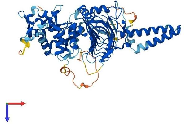 TBCCD1 Protein (AA 1-557) (His tag)