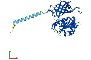 Protein Structure (PS) image for Cytochrome B5 Reductase 1 (CYB5R1) (AA 1-305) protein (His tag) (ABIN7561264)