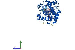 Protein Structure (PS) image for Cyclin C (CCNC) (AA 1-283) protein (His tag) (ABIN7553208)