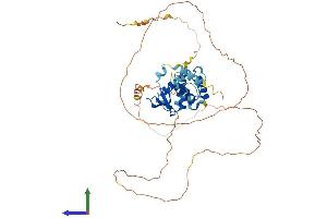 Protein Structure (PS) image for Ets Variant 6 (ETV6) (AA 1-452) protein (His tag) (ABIN7547461)