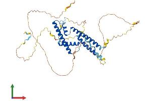 Protein Structure (PS) image for Suppressor of Ty 7 Like (SUPT7L) (AA 1-412) protein (His tag) (ABIN7560803)