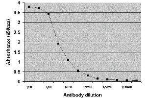 ELISA image for anti-Albumin (ALB) antibody (FITC) (ABIN2477337) (Albumin 抗体  (FITC))