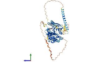 Protein Structure (PS) image for Guanine Nucleotide Binding Protein-Like 3 (Nucleolar) (GNL3) (AA 1-538) protein (His tag) (ABIN7559357)