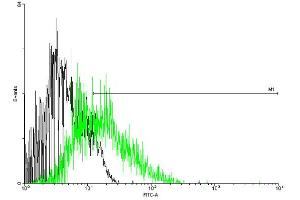FACS analysis of negative control 293 cells (Black) and CCR5 expressing 293 cells (Green) using CCR5 purified MaxPab mouse polyclonal antibody. (CCR5 抗体  (AA 1-352))