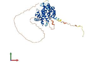 AlphaFold protein structure predicition of Human Recombinant CCNE2 Protein, UniprotID O96020