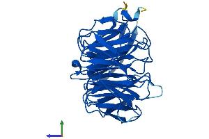 Protein Structure (PS) image for Peroxisomal Biogenesis Factor 7 (PEX7) (AA 1-318) protein (His tag) (ABIN7556836)