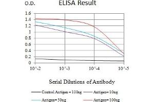 Black line: Control Antigen (100 ng),Purple line: Antigen (10 ng), Blue line: Antigen (50 ng), Red line:Antigen (100 ng) (VEGFR2/CD309 抗体  (AA 1225-1356))