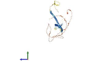 Protein Structure (PS) image for Premature Ovarian Failure, 1B (POF1B) (AA 1-587) protein (His tag) (ABIN7559579)