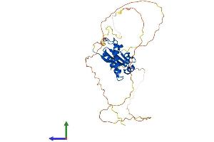 AlphaFold protein structure predicition of Human Recombinant TOB2 Protein, UniprotID Q14106