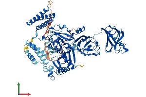Protein Structure (PS) image for Calpain 7 (CAPN7) (AA 1-813) protein (His tag) (ABIN7552961)