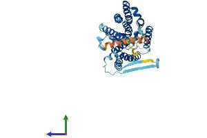 Protein Structure (PS) image for Histocompatibility 13 (H13) (AA 1-378) protein (His tag) (ABIN7561137)