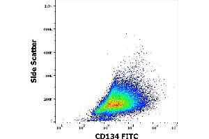 Flow cytometry surface staining pattern of human PHA stimulated peripheral blood mononuclear cells stained using anti-human CD134 (Ber-ACT35) FITC antibody (4 μL reagent per milion cells in 100 μL of cell suspension).