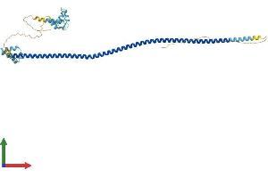 AlphaFold protein structure predicition of Mouse Recombinant Cracr2b Protein, UniprotID Q80ZJ8