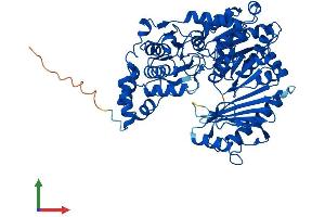 AlphaFold protein structure predicition of Mouse Recombinant Pgm2l1 Protein, UniprotID Q8CAA7