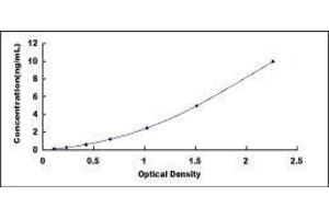 Galectin 3 (LGALS3) ELISA Kit