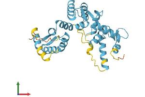 Protein Structure (PS) image for Secretagogin, EF-Hand Calcium Binding Protein (SCGN) (AA 1-276) protein (His tag) (ABIN7545968)