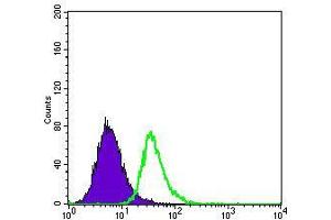 Flow cytometric analysis of HepG2 cells using ApoE mouse mAb (green) and negative control (purple). (APOE 抗体)