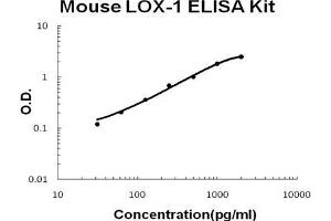 Mouse LOX-1/OLR1 PicoKine ELISA Kit standard curve (OLR1 ELISA 试剂盒)