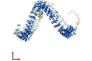 Protein Structure (PS) image for Ankyrin Repeat Domain 44 (ANKRD44) (AA 1-993) protein (His tag) (ABIN7562065)