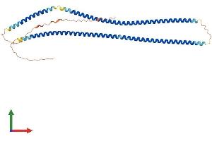Protein Structure (PS) image for Keratin 34 (KRT34) (AA 1-392) protein (His tag) (ABIN7561033)