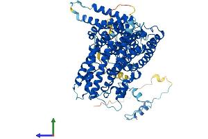 Protein Structure (PS) image for MAK10 Homolog, Amino-Acid N-Acetyltransferase Subunit (MAK10) (AA 1-725) protein (His tag) (ABIN7558084)