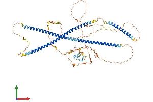 AlphaFold protein structure predicition of Human Recombinant TBKBP1 Protein, UniprotID A7MCY6