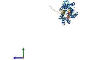 AlphaFold protein structure predicition of Mouse Recombinant Ltb4r Protein, UniprotID O88855