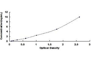 Typical standard curve (SP7 ELISA 试剂盒)