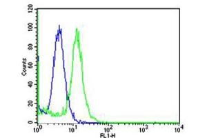 Flow cytometric analysis of Hela cells using Mouse Mapk3 Antibody (green) compared to an isotype control of rabbit IgG(blue).