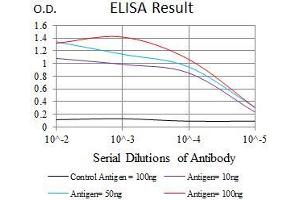 Black line: Control Antigen (100 ng), Purple line: Antigen(10 ng), Blue line: Antigen (50 ng), Red line: Antigen (100 ng), (TP53BP1 抗体  (AA 574-773))