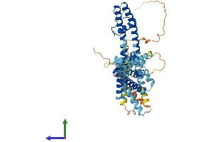 Protein Structure (PS) image for Potassium Voltage-Gated Channel, Subfamily G, Member 4 (Kcng4) (AA 1-519) protein (His tag) (ABIN7548775)