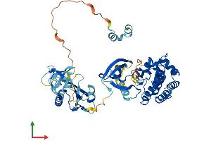 Protein Structure (PS) image for Src-Related Kinase Lacking C-Terminal Regulatory Tyrosine and N-Terminal Myristylation Sites (SRMS) (AA 1-488) protein (His tag) (ABIN7546355)