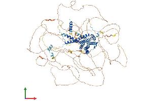 Protein Structure (PS) image for AF4/FMR2 Family, Member 4 (AFF4) (AA 1-1163) protein (His tag) (ABIN7551987)