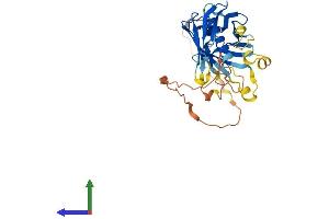 AlphaFold protein structure predicition of Human Recombinant PLSCR1 Protein, UniprotID O15162 (PLSCR1 Protein (AA 1-318) (His tag))