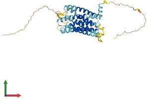 AlphaFold protein structure predicition of Mouse Recombinant Ccrl2 Protein, UniprotID O35457 (CCRL2 Protein (AA 1-360) (His tag))